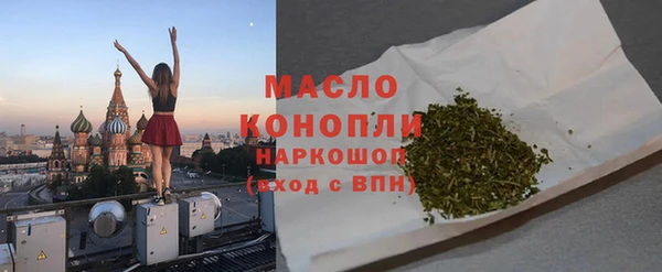 гидра Богородск