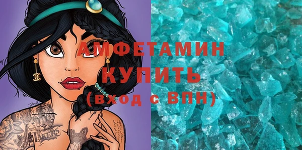 гидра Богородск