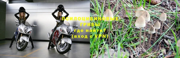гидра Богородск