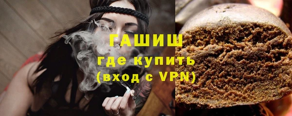 гидра Богородск