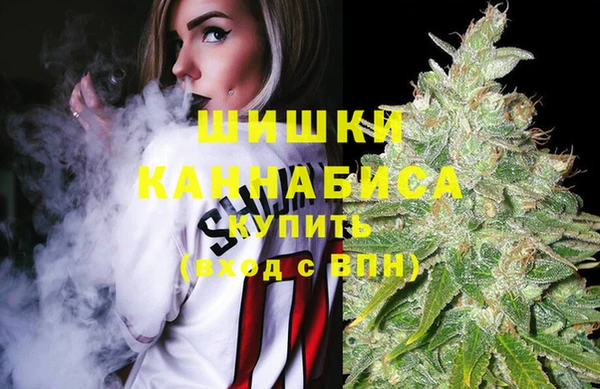 первитин Белоозёрский