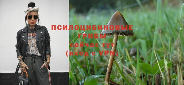 герыч Белокуриха